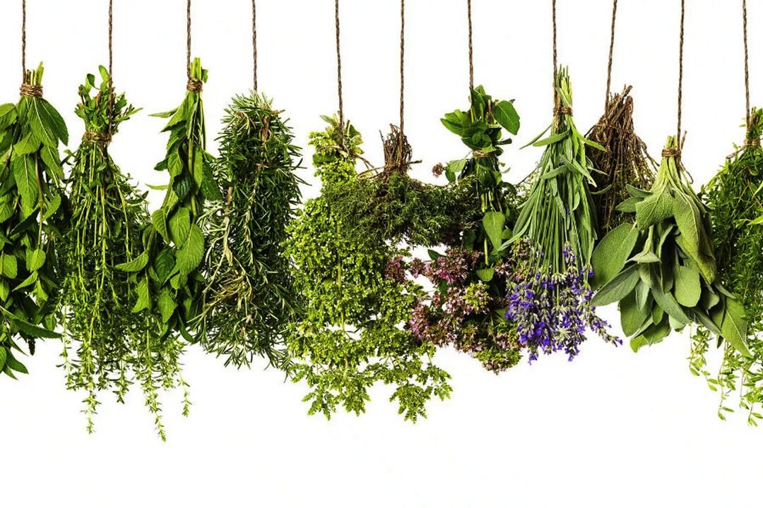 екстракт от тропически билки в Eroboost