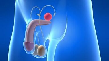 Смазване при мъжете по време на вълнение какво е